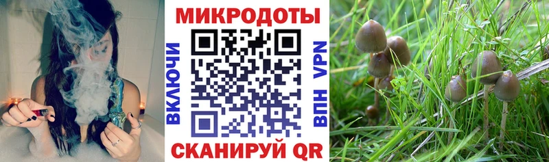 Псилоцибиновые грибы GOLDEN TEACHER  Костерёво 